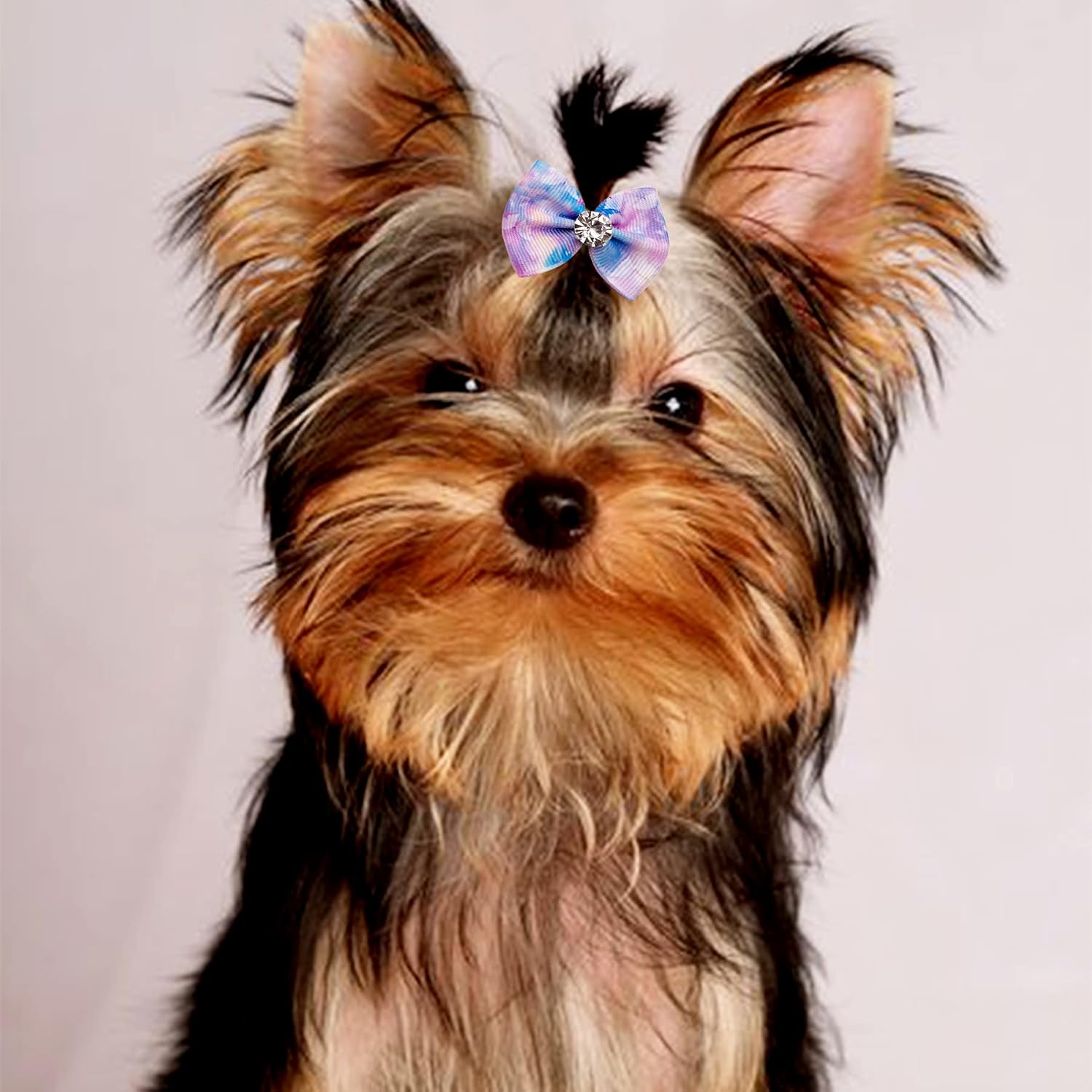 JpGdn 24PCS Small Dog Hair Bows with Rubber Bands Rhinestone Grooming Accessories for Puppies Cats and Bunnies - View 4 of 7