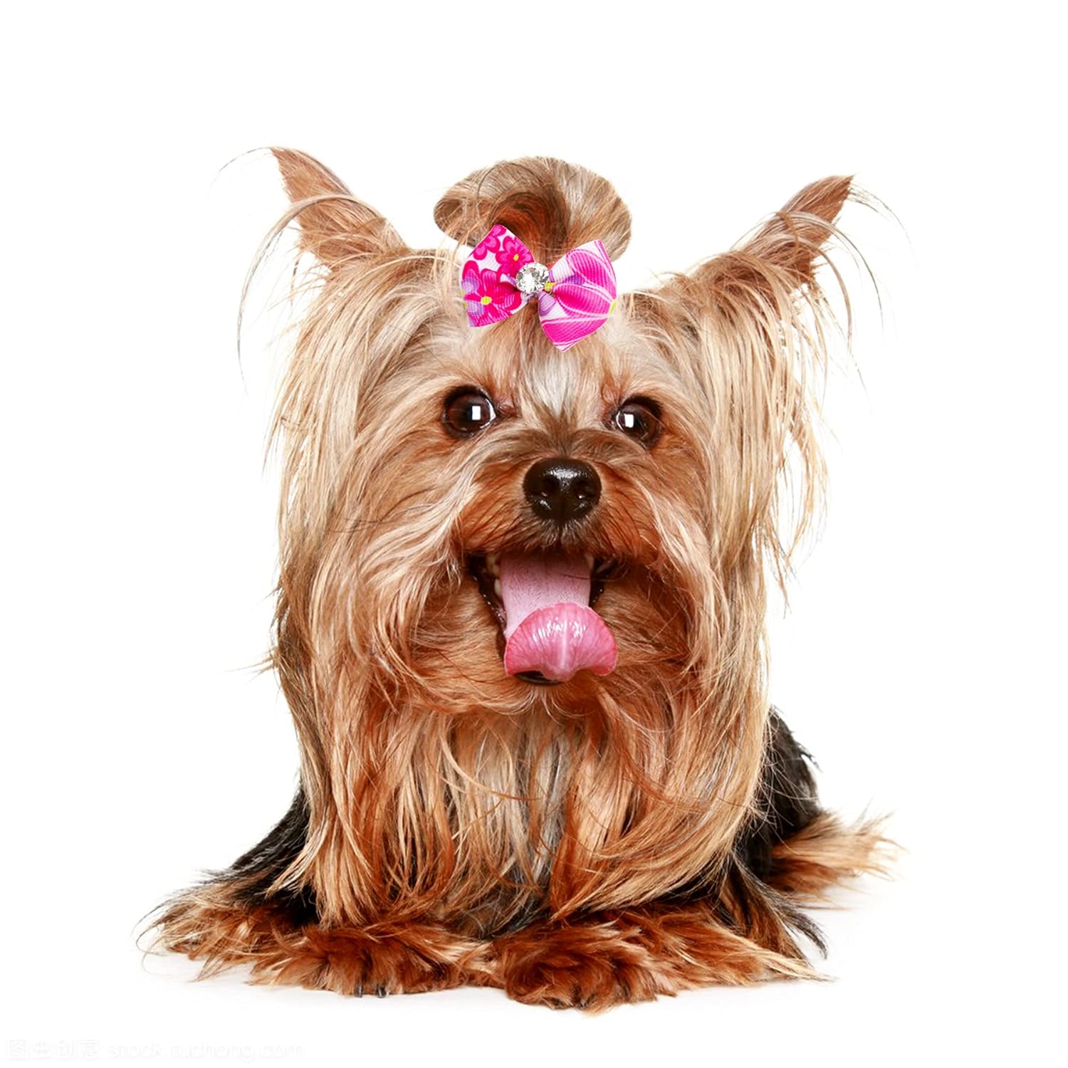 JpGdn 24PCS Small Dog Hair Bows with Rubber Bands Rhinestone Grooming Accessories for Puppies Cats and Bunnies - View 5 of 7