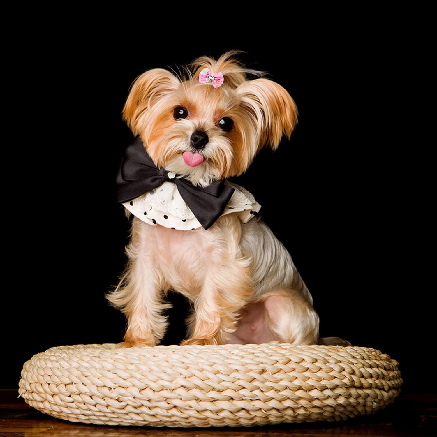 JpGdn 24PCS Small Dog Hair Bows with Rubber Bands Rhinestone Grooming Accessories for Puppies Cats and Bunnies - View 6 of 7