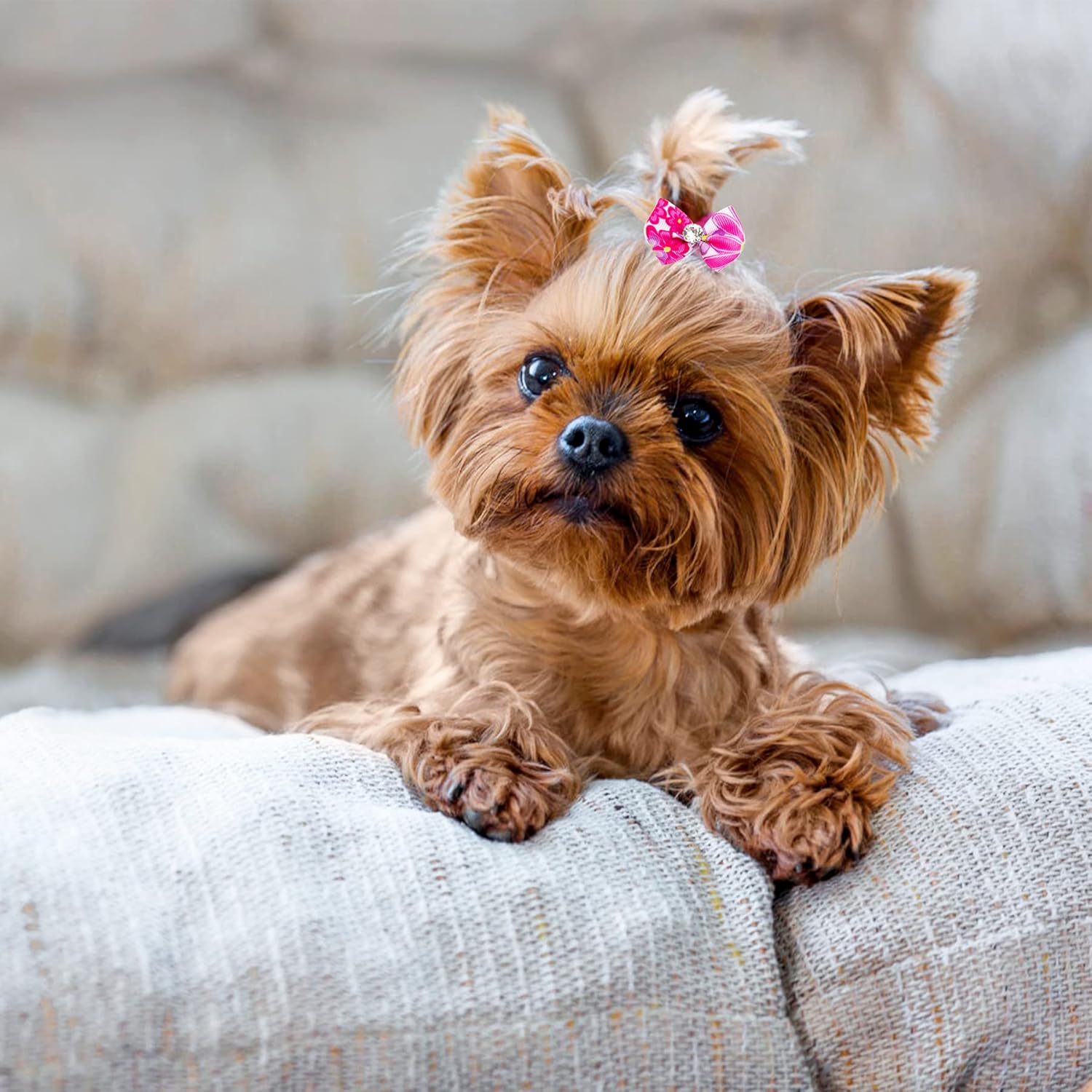 JpGdn 24PCS Small Dog Hair Bows with Rubber Bands Rhinestone Grooming Accessories for Puppies Cats and Bunnies - View 7 of 7