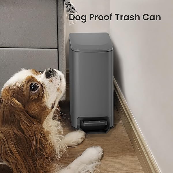 Cesun Cesun Small Bathroom Trash Can with Lid Soft Close Step Pedal 6 Liter Stainless Steel Garbage Can Removable Inner Bucket Anti-Fingerprint Gray - View 8 of 9