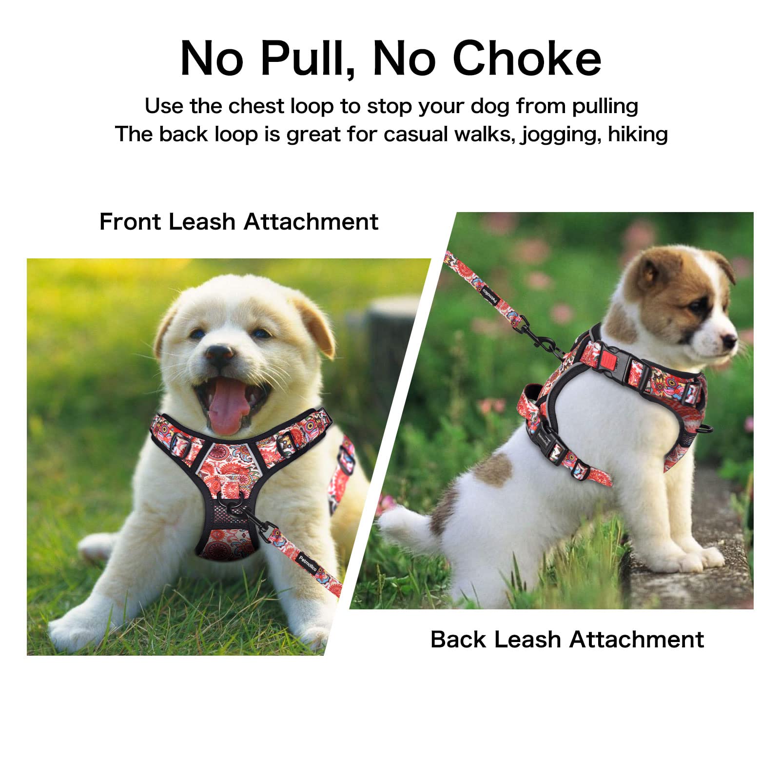 Petmolico No Pull Dog Harness Set with Leash Easy Control Handle Reflective Vest for Small Breeds and Puppies Boho Floral Design - View 4 of 7