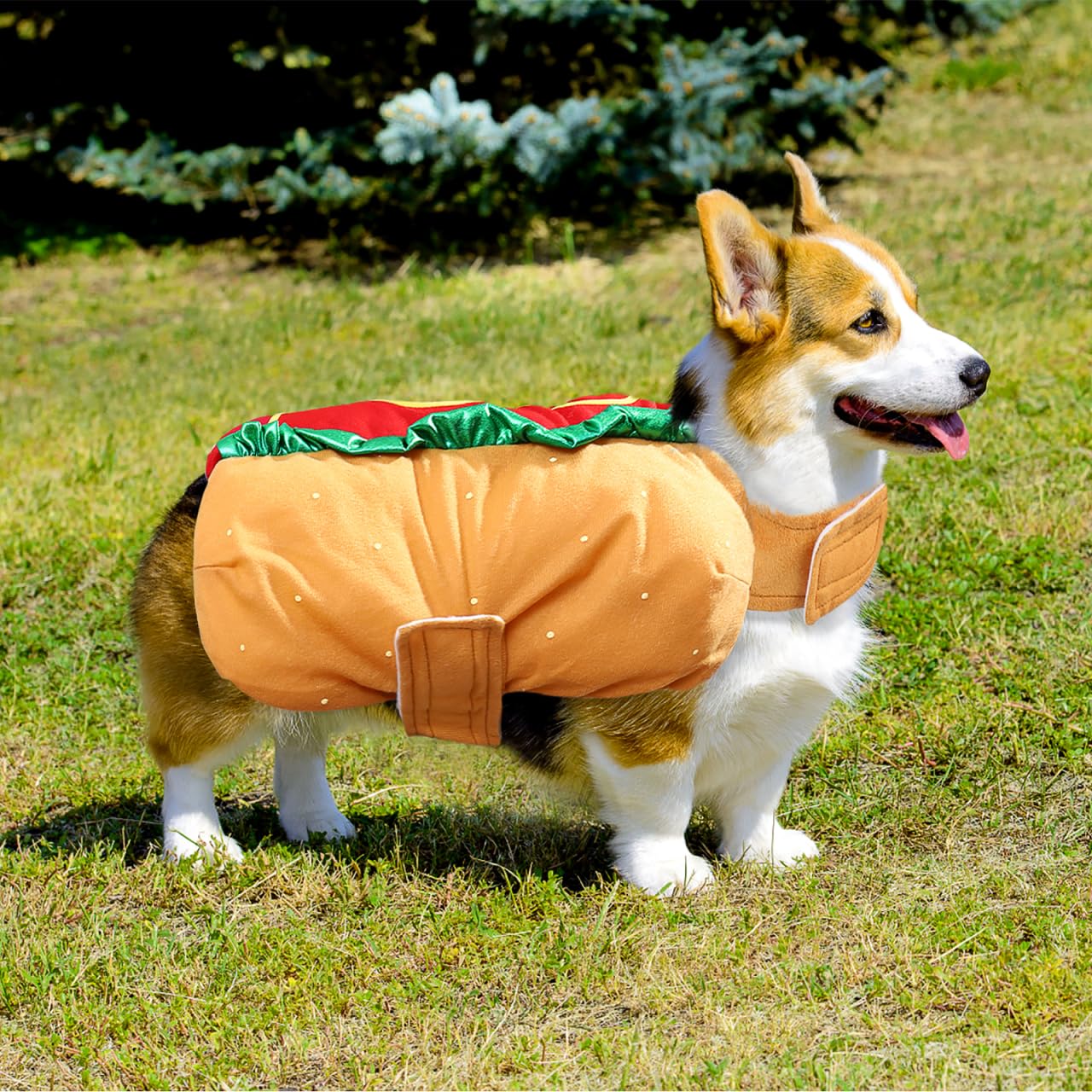 POPETPOP Funny Hot Dog Design Pet Costumes for Dogs and Cats Halloween Apparel Warm Hoodie Cosplay Outfit for Medium and Small Pets - View 4 of 9