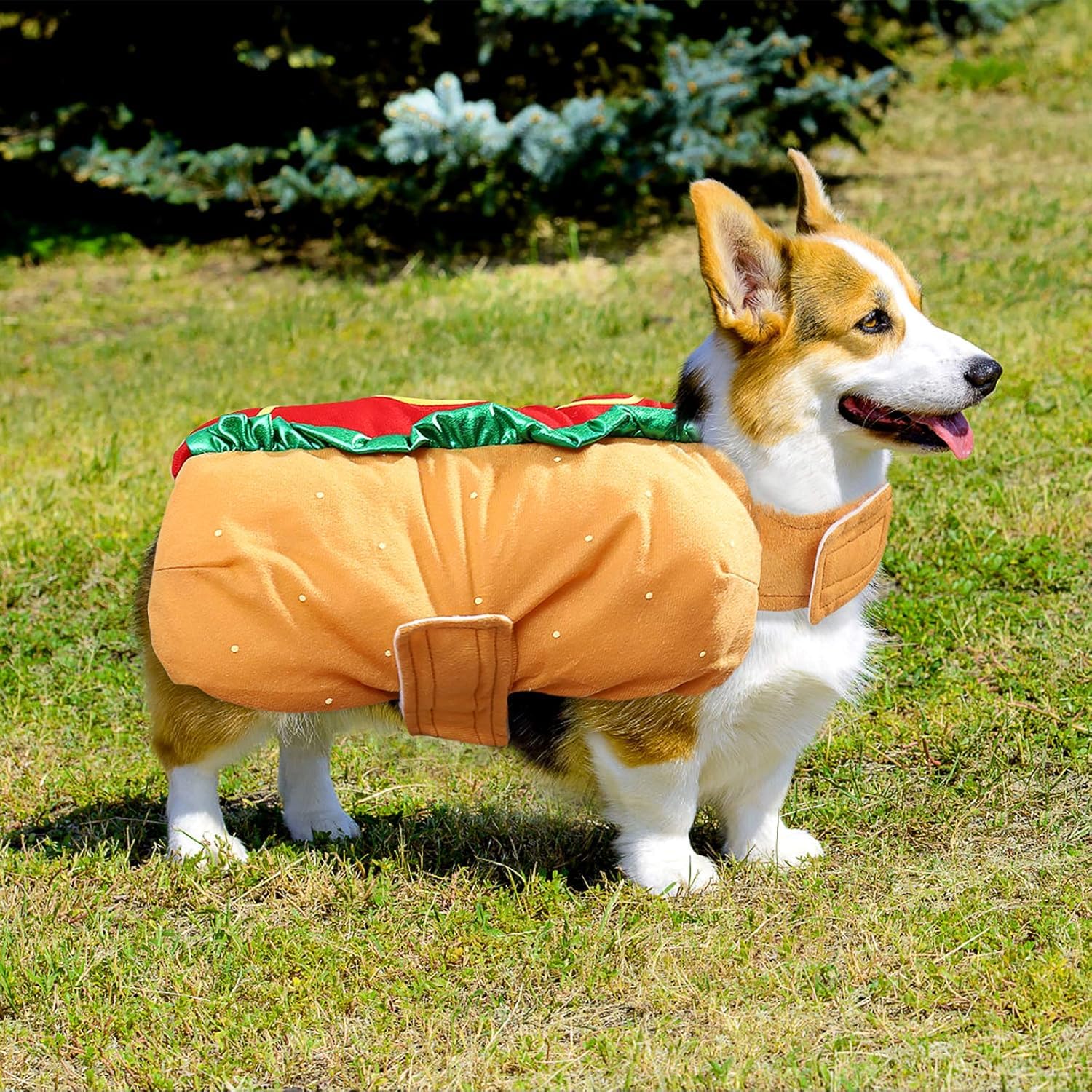 POPETPOP Funny Hot Dog Design Pet Costumes for Dogs and Cats Halloween Apparel Warm Hoodie Cosplay Outfit for Medium and Small Pets - View 8 of 9