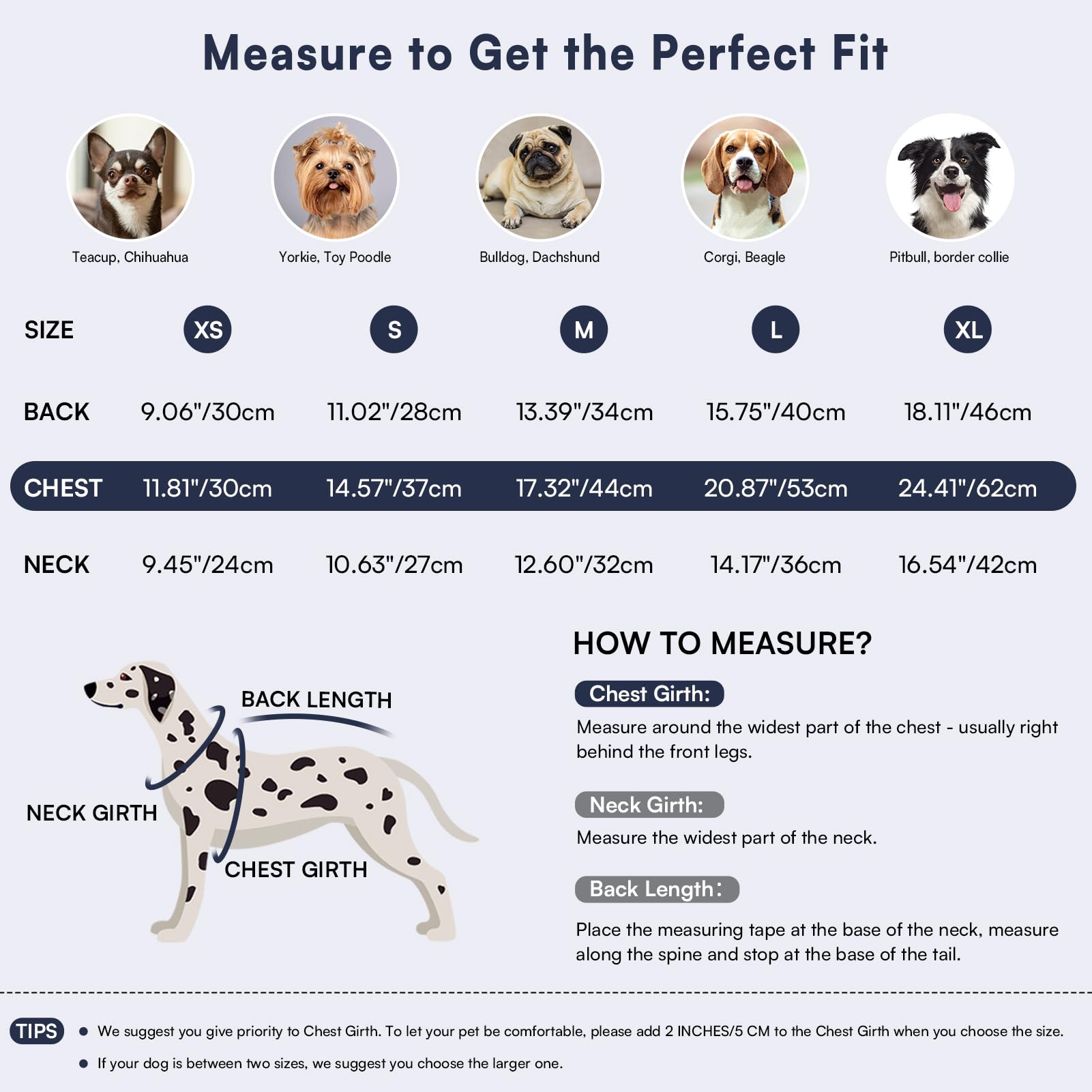 Queenmore Warm Dog Sweater Soft Pet Knitwear Knitted Pullover Winter Clothes for Small Medium Dogs and Cats - View 3 of 7