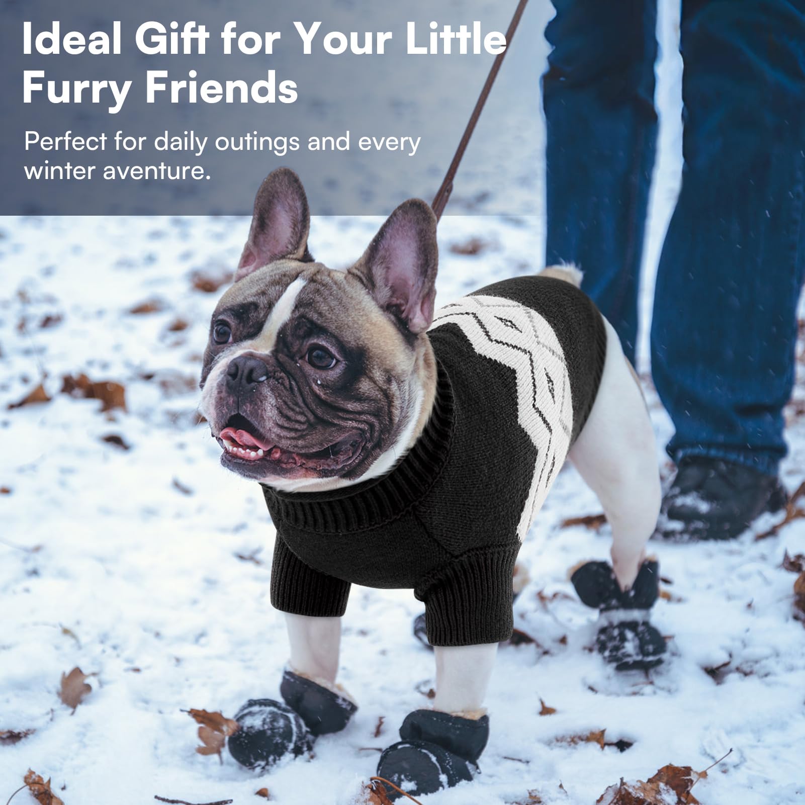 Queenmore Warm Dog Sweater Soft Pet Knitwear Knitted Pullover Winter Clothes for Small Medium Dogs and Cats - View 5 of 7