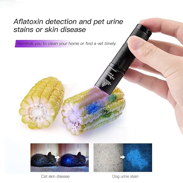 TactEagle TactEagle 365nm UV Flashlight Portable Black Light for Pet Urine Detection Mineral Hunting and UV Resin Curing Scorpion Finder - View 6 of 9