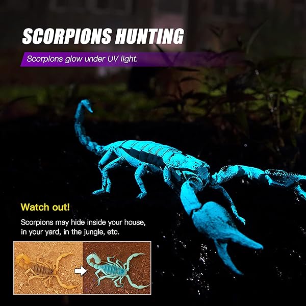 TactEagle TactEagle 365nm UV Flashlight Portable Black Light for Pet Urine Detection Mineral Hunting and UV Resin Curing Scorpion Finder - View 7 of 9