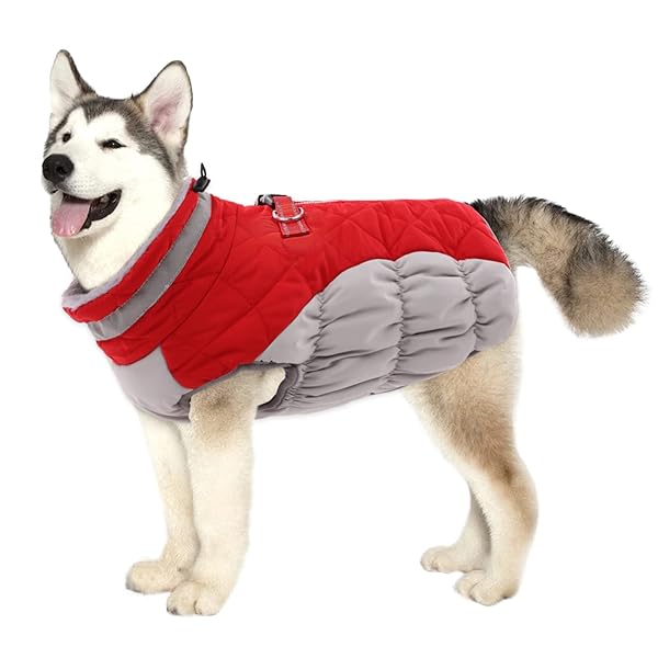 LeLePet Lelepet Warm Dog Winter Jacket Fleece Windproof Reflective Turtleneck Waterproof Available in Sizes S M L