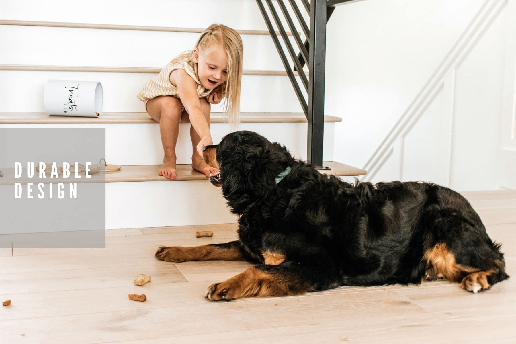 Simply Unleashed Simply Unleashed White Dog and Cat Treat Container with Bamboo Lid 98 oz 12 cups Easy Open Design - View 5 of 9