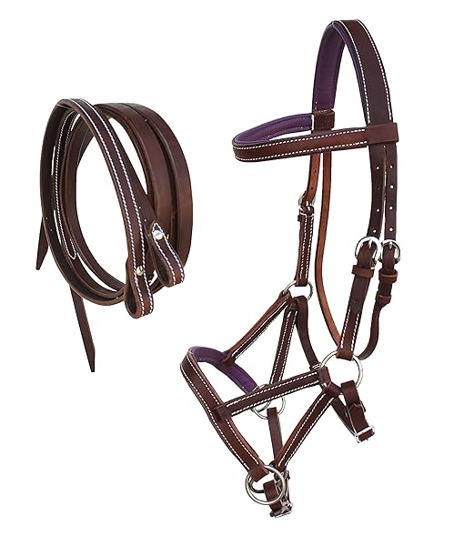 CHALLENGER Buy CHALLENGER Purple Bitless Sidepull Bridle & Reins - Western Leather Horse Gear 77RS32PR