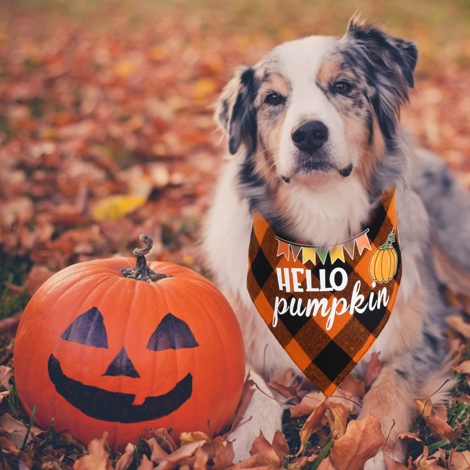 Chngeary Chngeary Dog Bandana 2 Pack Classic Orange Plaid Thanksgiving Scarf for Small Medium Large Dogs Accessories - View 6 of 7