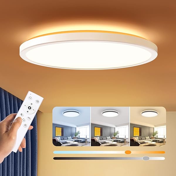 BLNAN BLNAN Dimmable LED Flush Mount Ceiling Light Fixture with Remote Control 12 Inch 24W Adjustable Color Modern Ultra Thin Lamp for Bedroom Kitchen