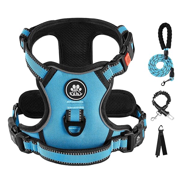 IVY&LANE IVY&LANE No Pull Dog Harness for Medium Dogs Adjustable Vest with Leash and Safety Belt Reflective Strip Soft Handle Blue M