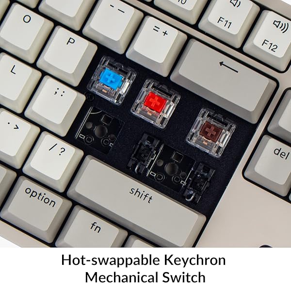 Keychron Keychron C2 Hot-Swappable Mechanical Keyboard: Mac & Windows Compatible, Red Switch, Retro Keycaps, USB-C - View 5 of 9