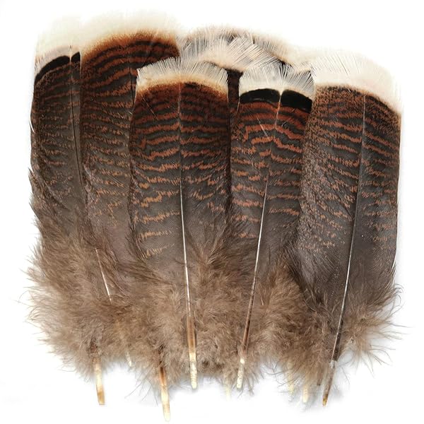 LUORNG LUORNG Natural Turkey Tail Feathers 20PCS 15-20cm for DIY Costumes and Headdresses