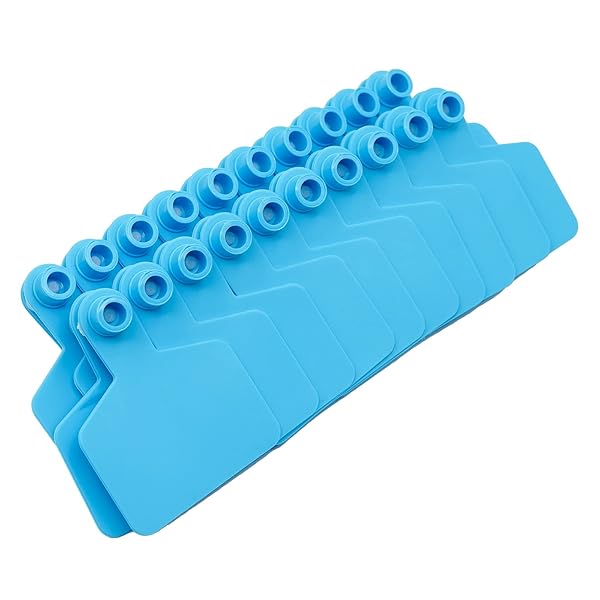 LIUCOGXI Blank 100 Sets Cattle Ear Tag Kits with Applicator for Livestock Pig Cow Dog Blue - View 5 of 10