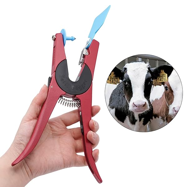 LIUCOGXI Blank 100 Sets Cattle Ear Tag Kits with Applicator for Livestock Pig Cow Dog Blue - View 8 of 10