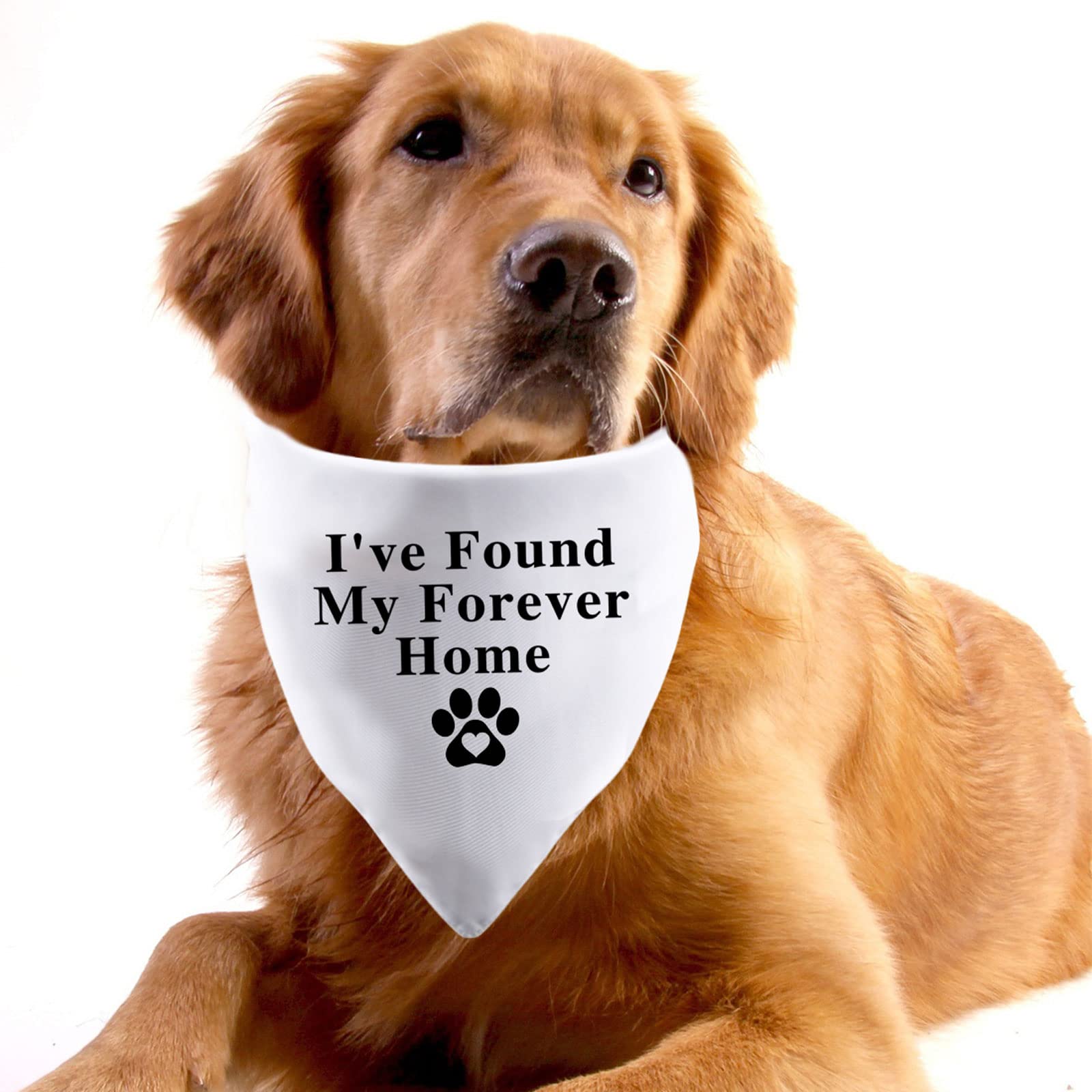 PWHAOO PWHAOO Forever Home Dog Bandana for Adoption and New Puppies White 1 Piece - View 6 of 7