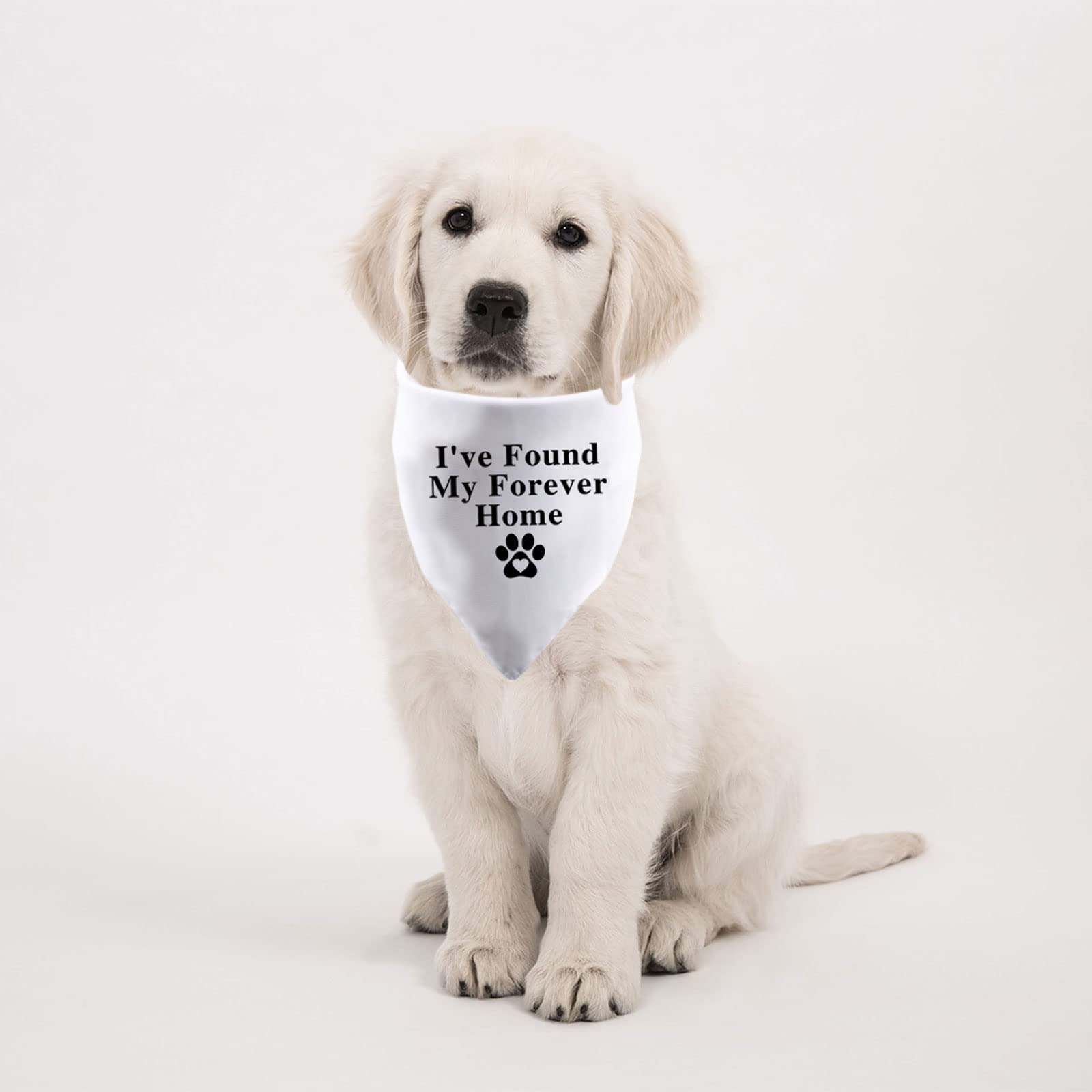 PWHAOO PWHAOO Forever Home Dog Bandana for Adoption and New Puppies White 1 Piece - View 7 of 7