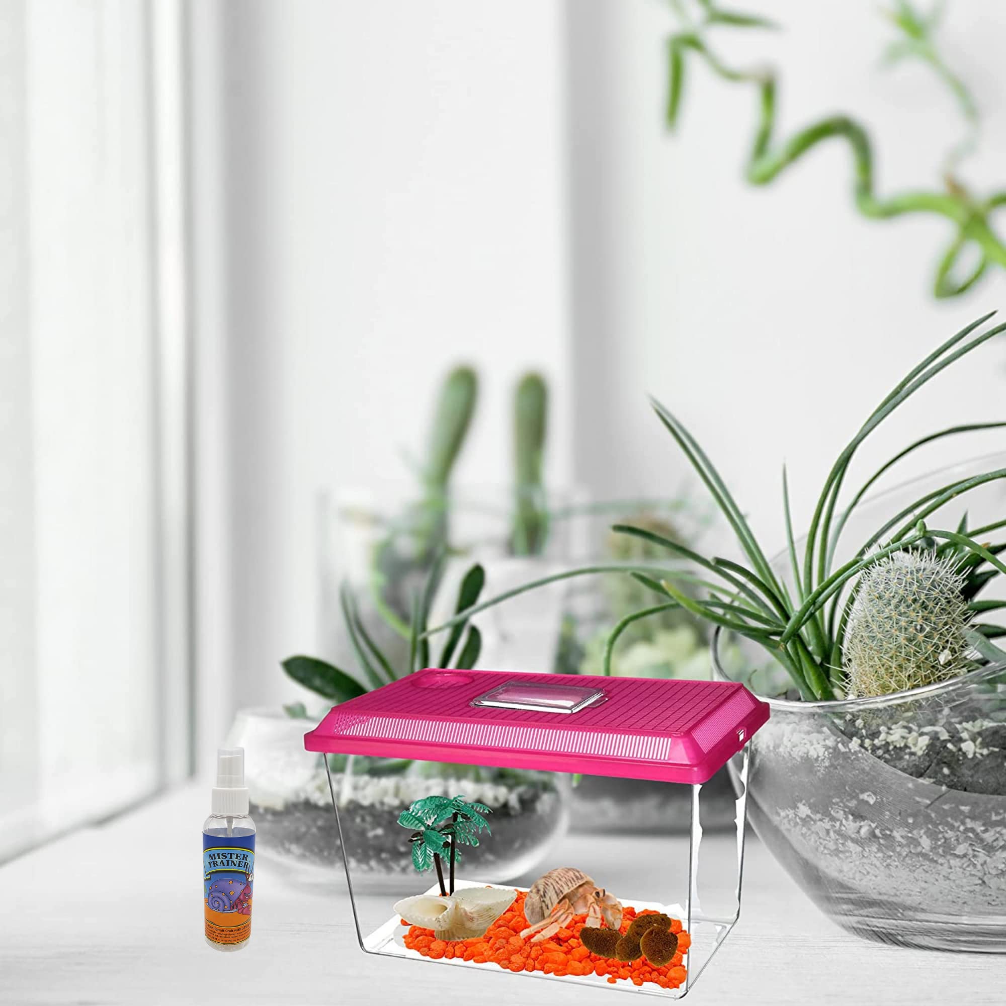 Needzo Needzo Hermit Crab Misting Spray Bottle Pack of 3 for Cages Terrariums Water Bottles for Crabs Reptiles and Amphibians 6.5 Inches - View 6 of 6