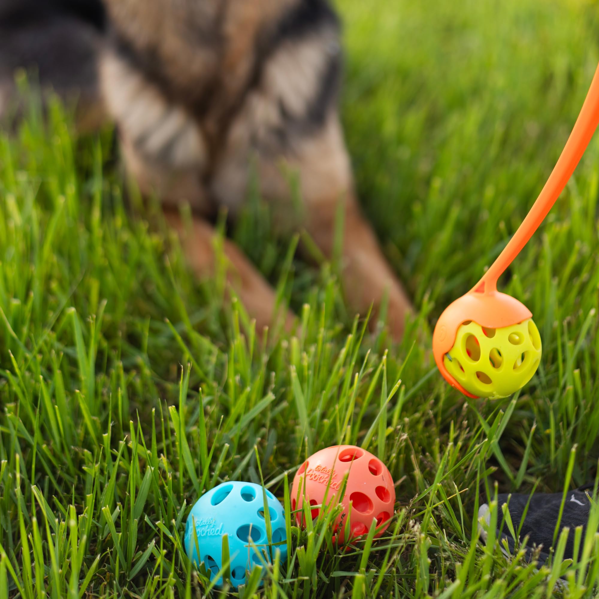 Messy Mutts Messy Mutts Totally Pooched Huffn Puff Ball 2.5 Inch TPR Puzzle Ball for Dogs Durable Interactive Toy and Tooth Cleaner Green - View 6 of 8