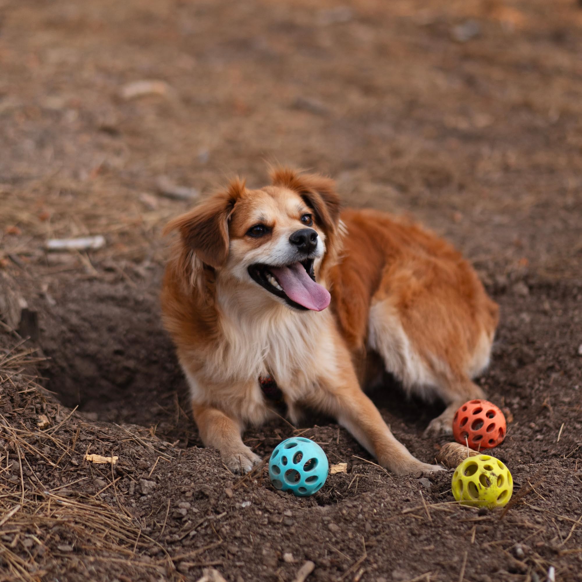 Messy Mutts Messy Mutts Totally Pooched Huffn Puff Ball 2.5 Inch TPR Puzzle Ball for Dogs Durable Interactive Toy and Tooth Cleaner Green - View 7 of 8