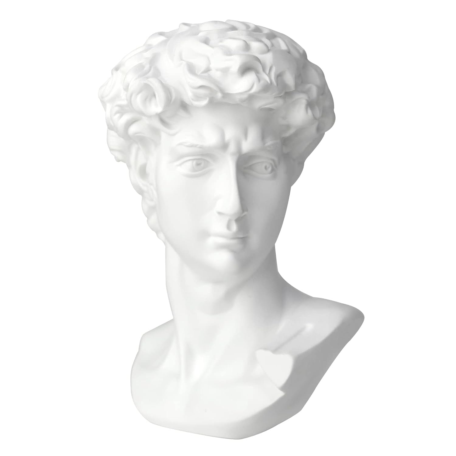 Norrclp Norrclp 11in Greek Statue of David Classic Roman Bust Sculpture for Home Decor