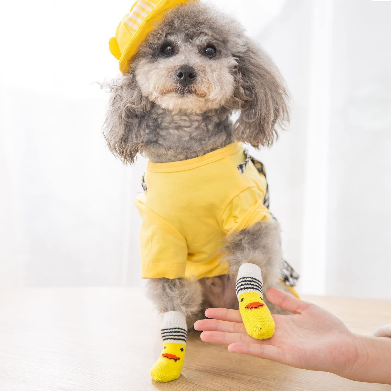 Saintrygo Saintrygo 24 Pieces Anti Slip Dog Socks Small Cat Paw Protector for Indoor Use on Hardwood Floors - View 5 of 7