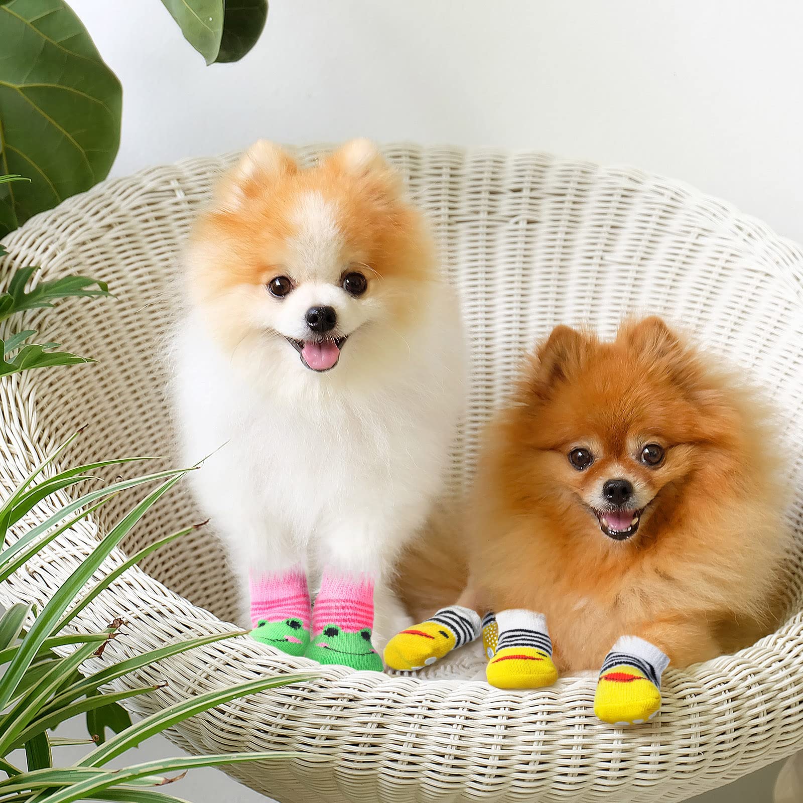 Saintrygo Saintrygo 24 Pieces Anti Slip Dog Socks Small Cat Paw Protector for Indoor Use on Hardwood Floors - View 7 of 7