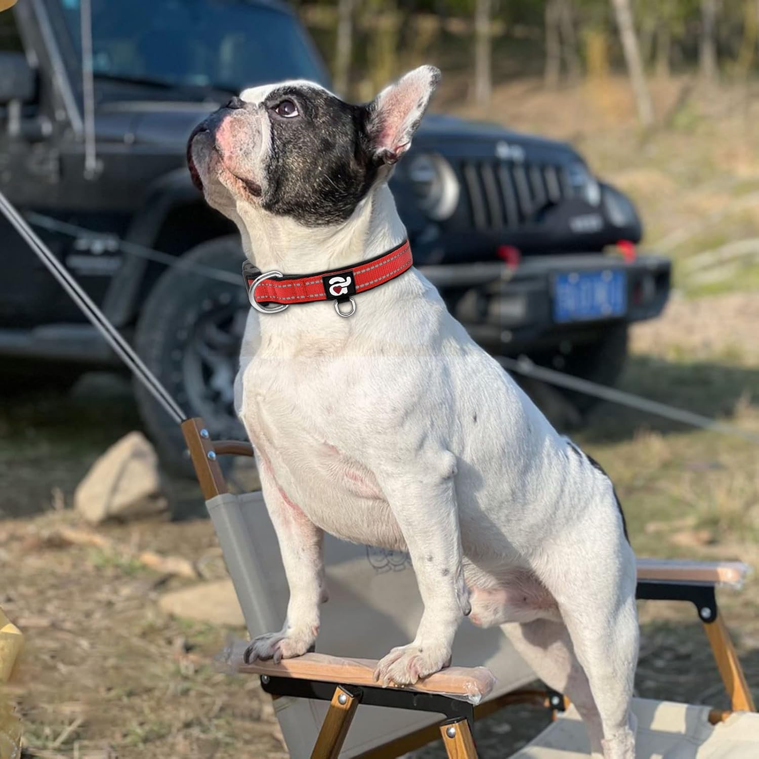 azuza Azuza Reflective Dog Collar Soft Neoprene Padded Adjustable Pet Collar for Medium Dogs with ID Tag Ring in Red - View 5 of 9