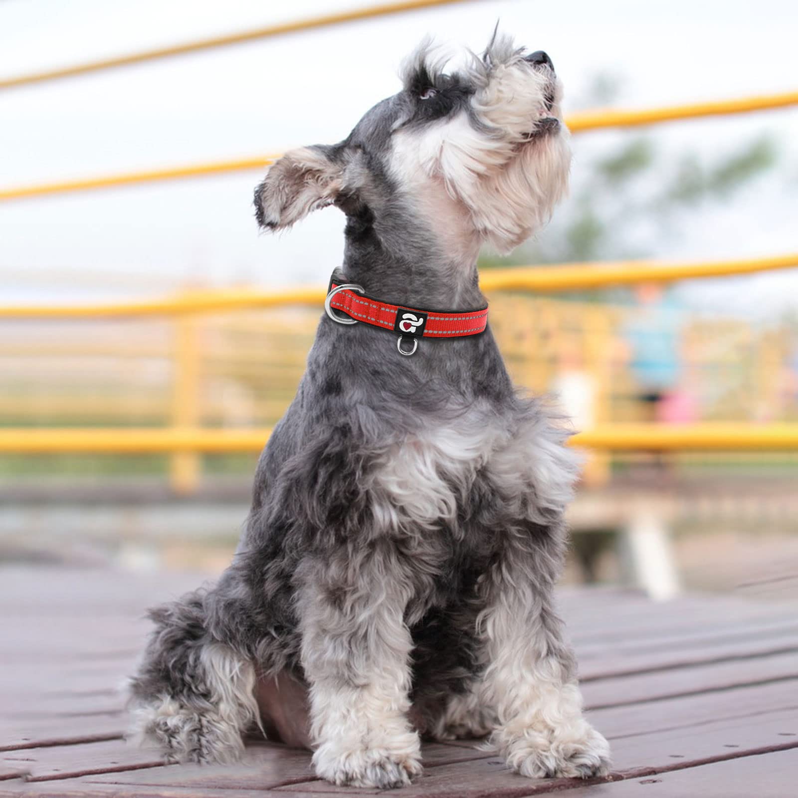 azuza Azuza Reflective Dog Collar Soft Neoprene Padded Adjustable Pet Collar for Small Dogs with ID Tag Ring Red - View 2 of 6