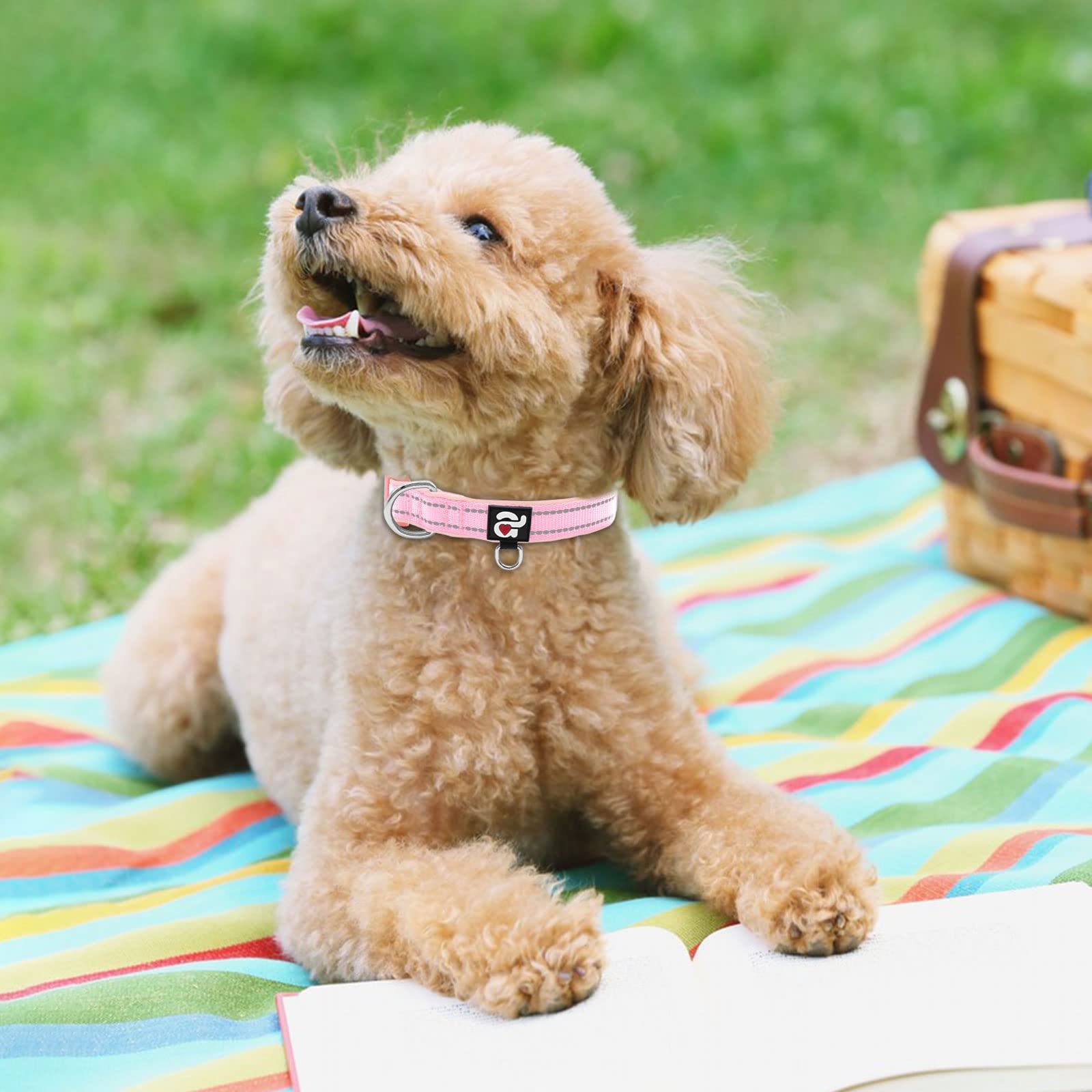 azuza Azuza Reflective Dog Collar Soft Neoprene Padded Adjustable Pet Collar for Small Dogs and Puppies Pink XS - View 5 of 6