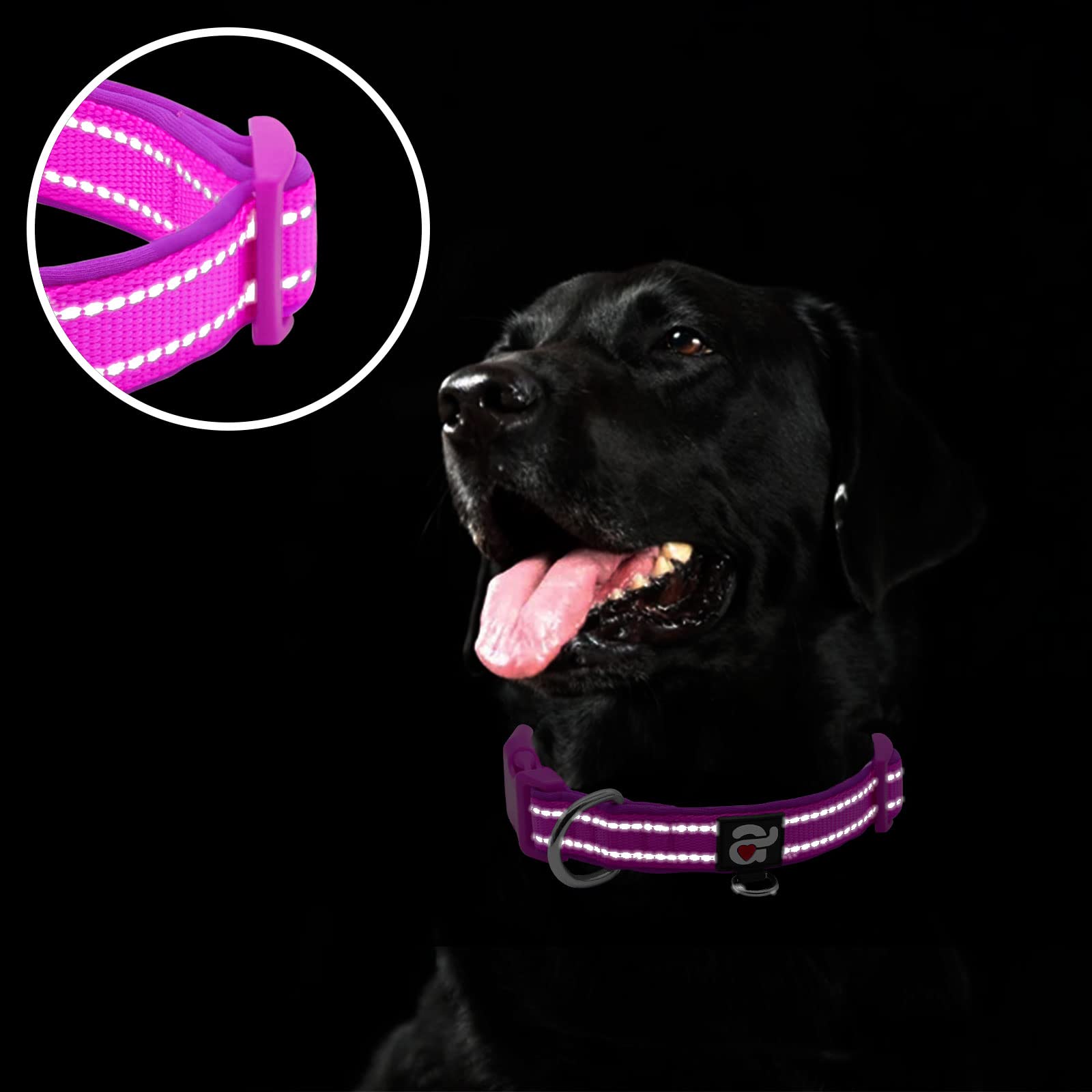 azuza Azuza Reflective Dog Collar Soft Neoprene Padded Adjustable Pet Collar for Medium Dogs with ID Tag Ring in Purple - View 4 of 6