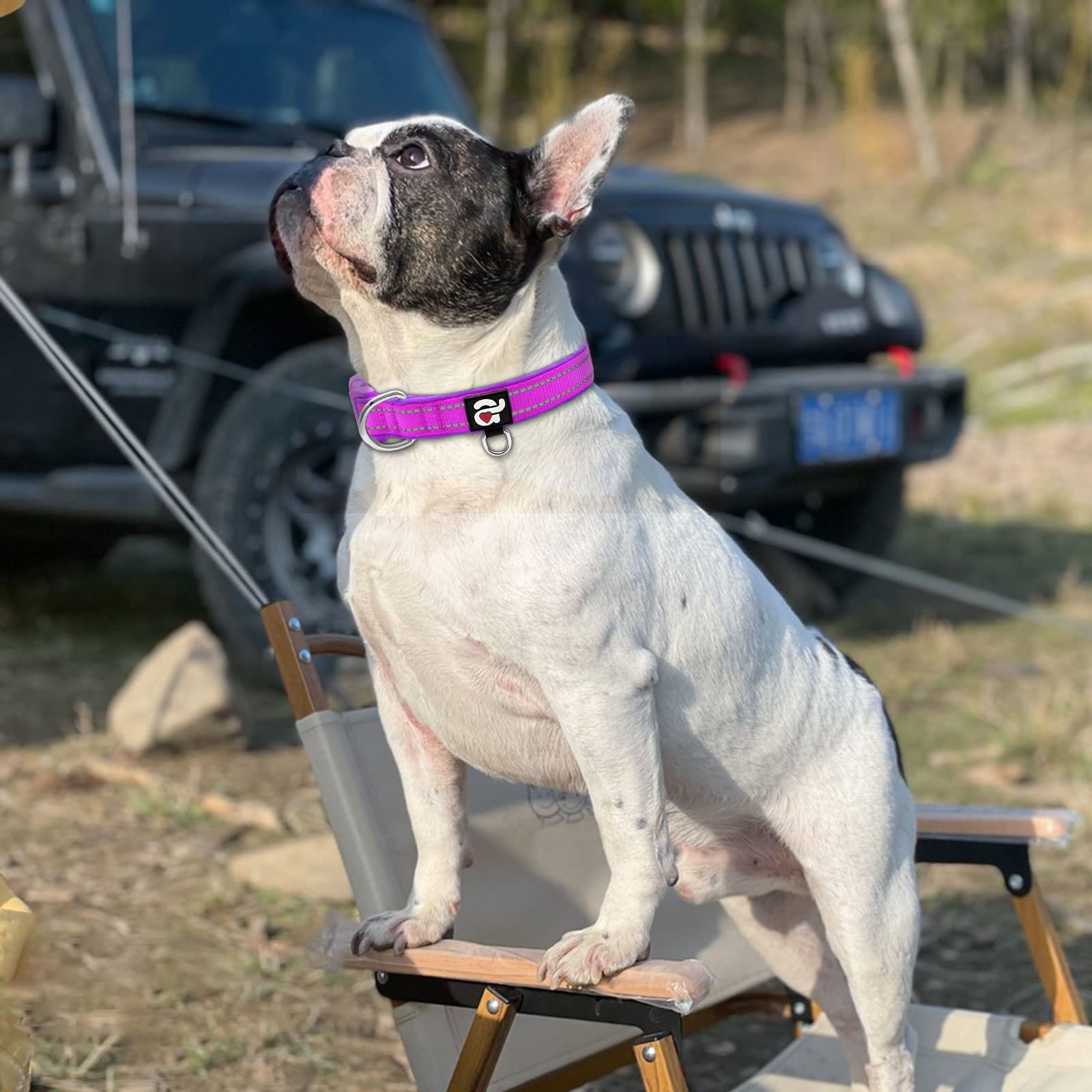 azuza Azuza Reflective Dog Collar Soft Neoprene Padded Adjustable Pet Collar for Medium Dogs with ID Tag Ring in Purple - View 5 of 6