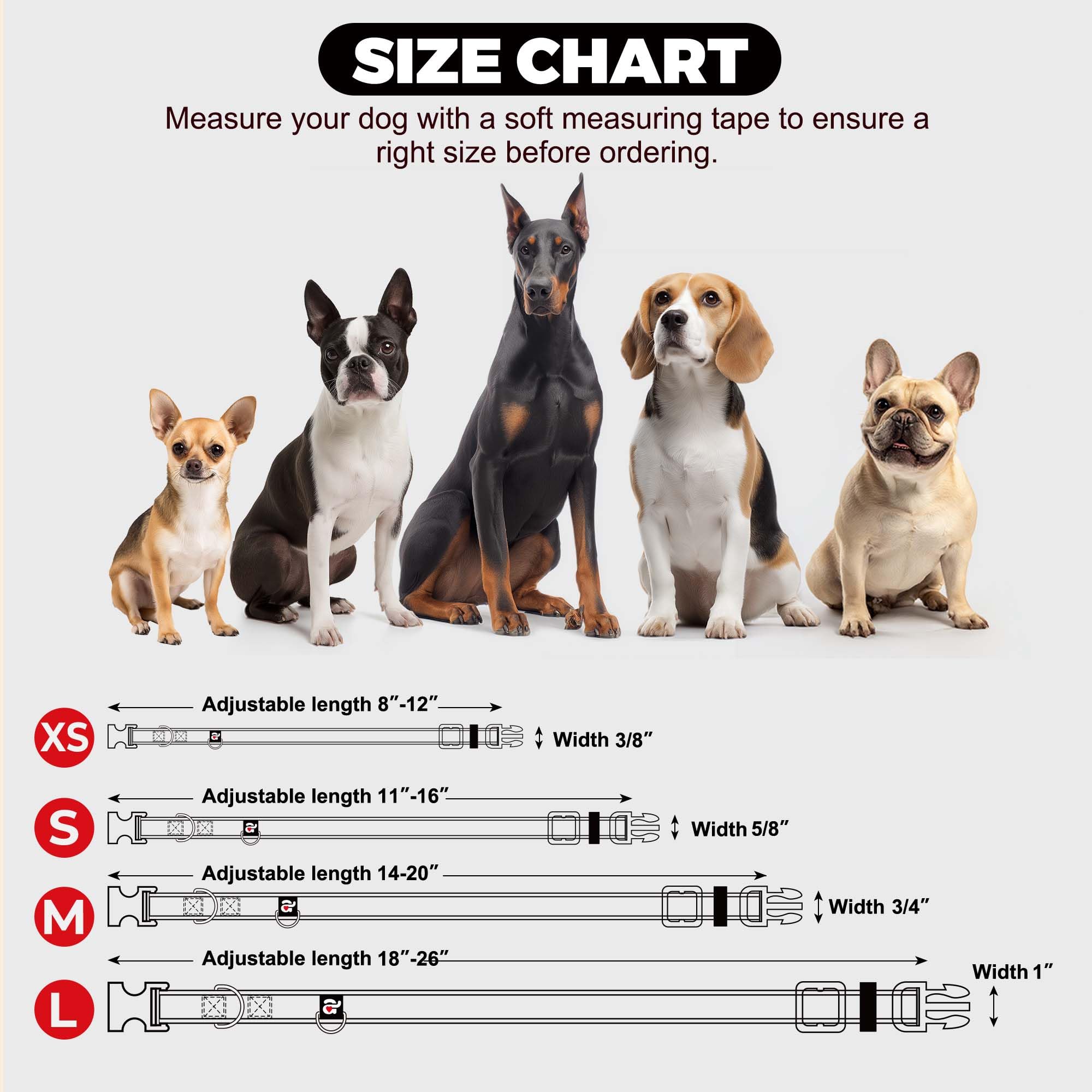 azuza Azuza Reflective Dog Collar Soft Neoprene Padded Adjustable Pet Collar for Medium Dogs with ID Tag Ring in Purple - View 6 of 6