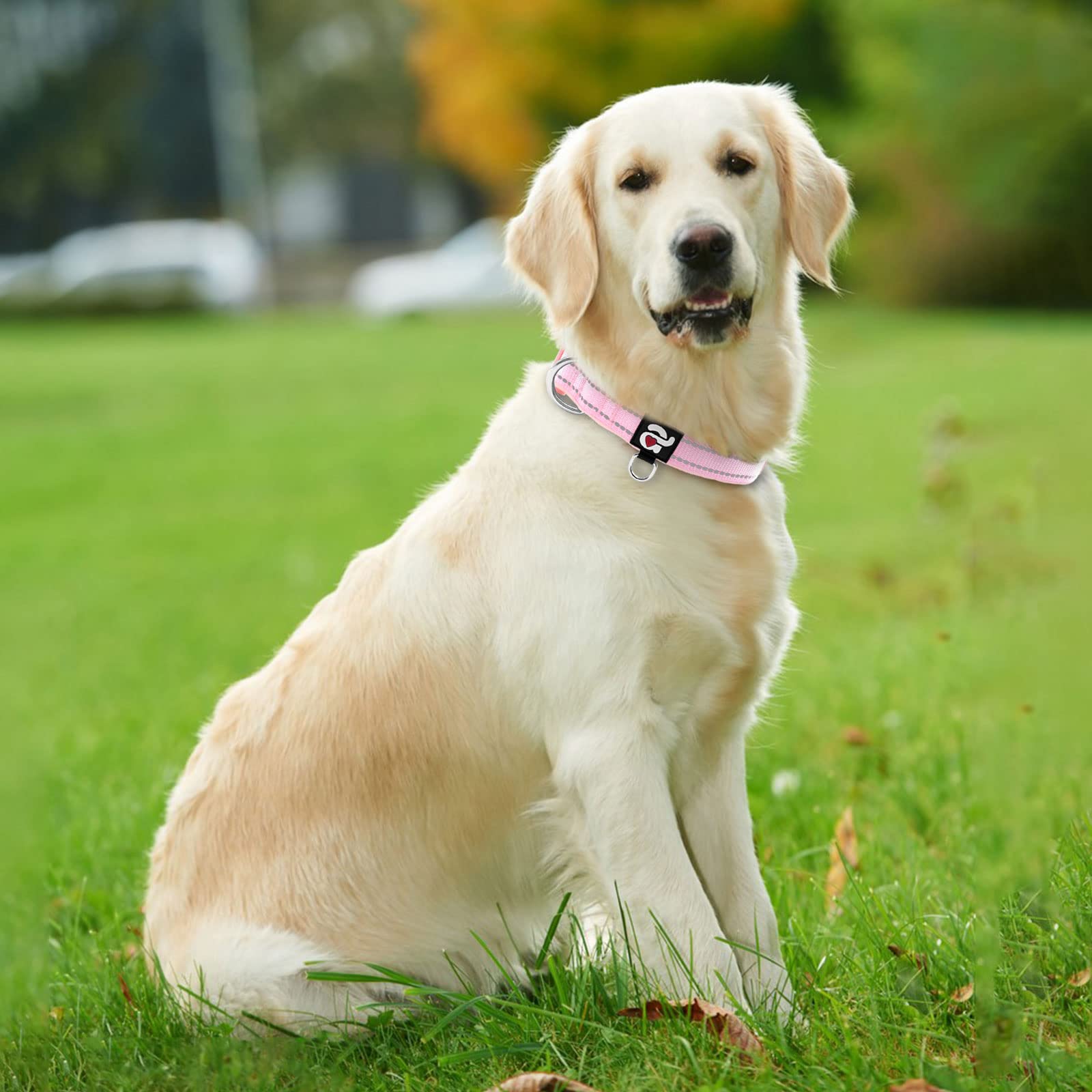 azuza Azuza Reflective Dog Collar Soft Neoprene Padded Adjustable Pet Collar for Large Dogs Pink with ID Tag Ring - View 5 of 6