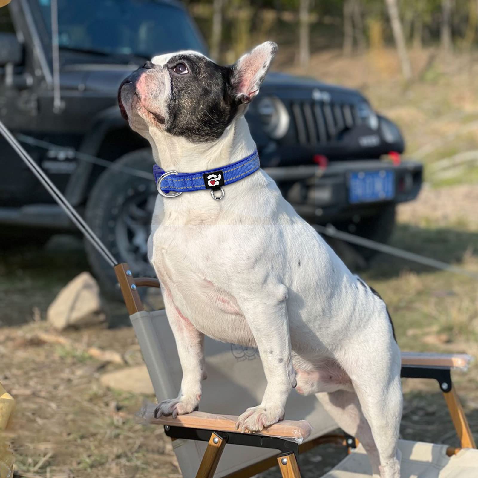 azuza Azuza Reflective Dog Collar Soft Neoprene Padded Adjustable Pet Collar for Medium Dogs Royal Blue with ID Tag Ring - View 5 of 6