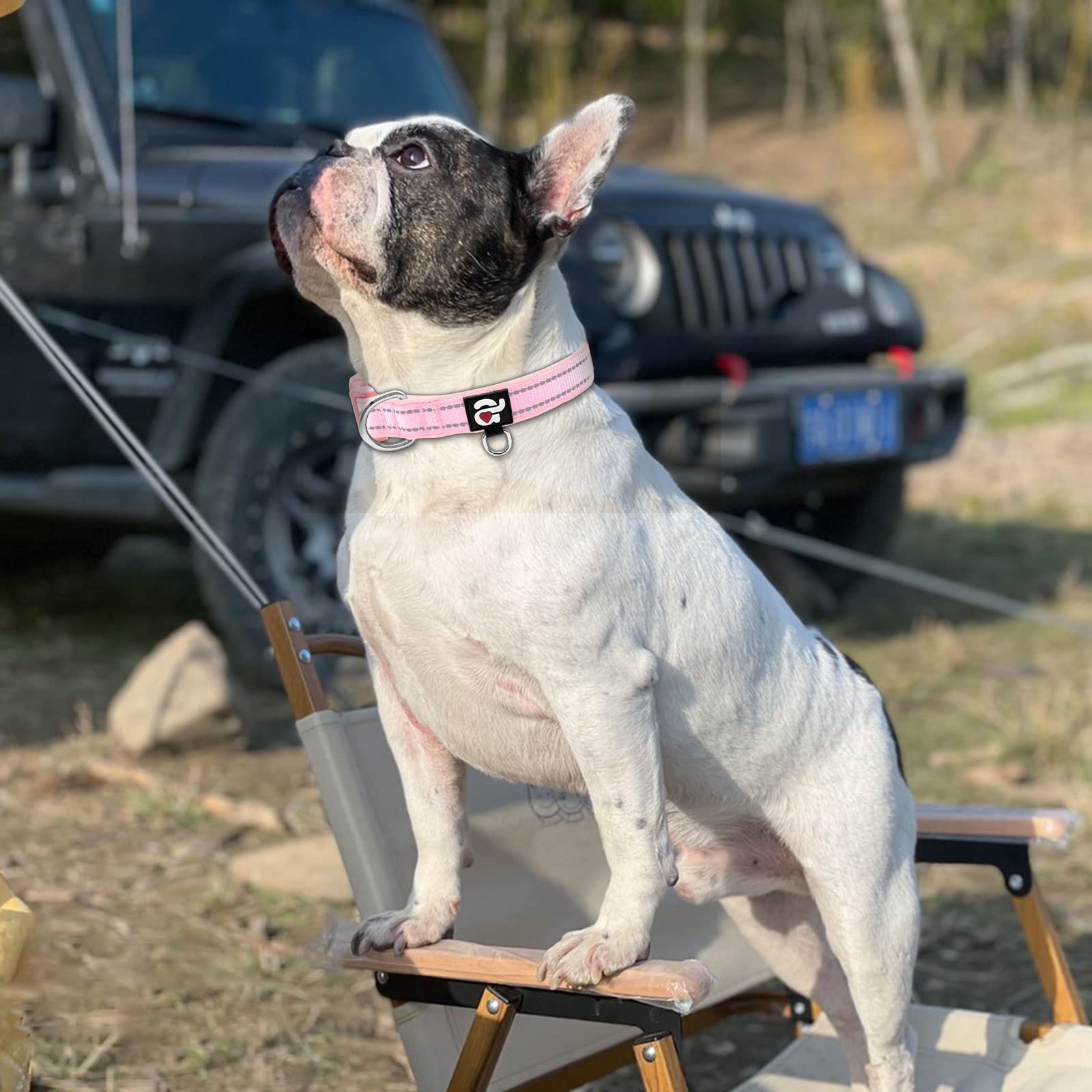 azuza Azuza Reflective Dog Collar Soft Neoprene Padded Adjustable Pet Collar for Medium Dogs Pink with ID Tag Ring - View 5 of 6