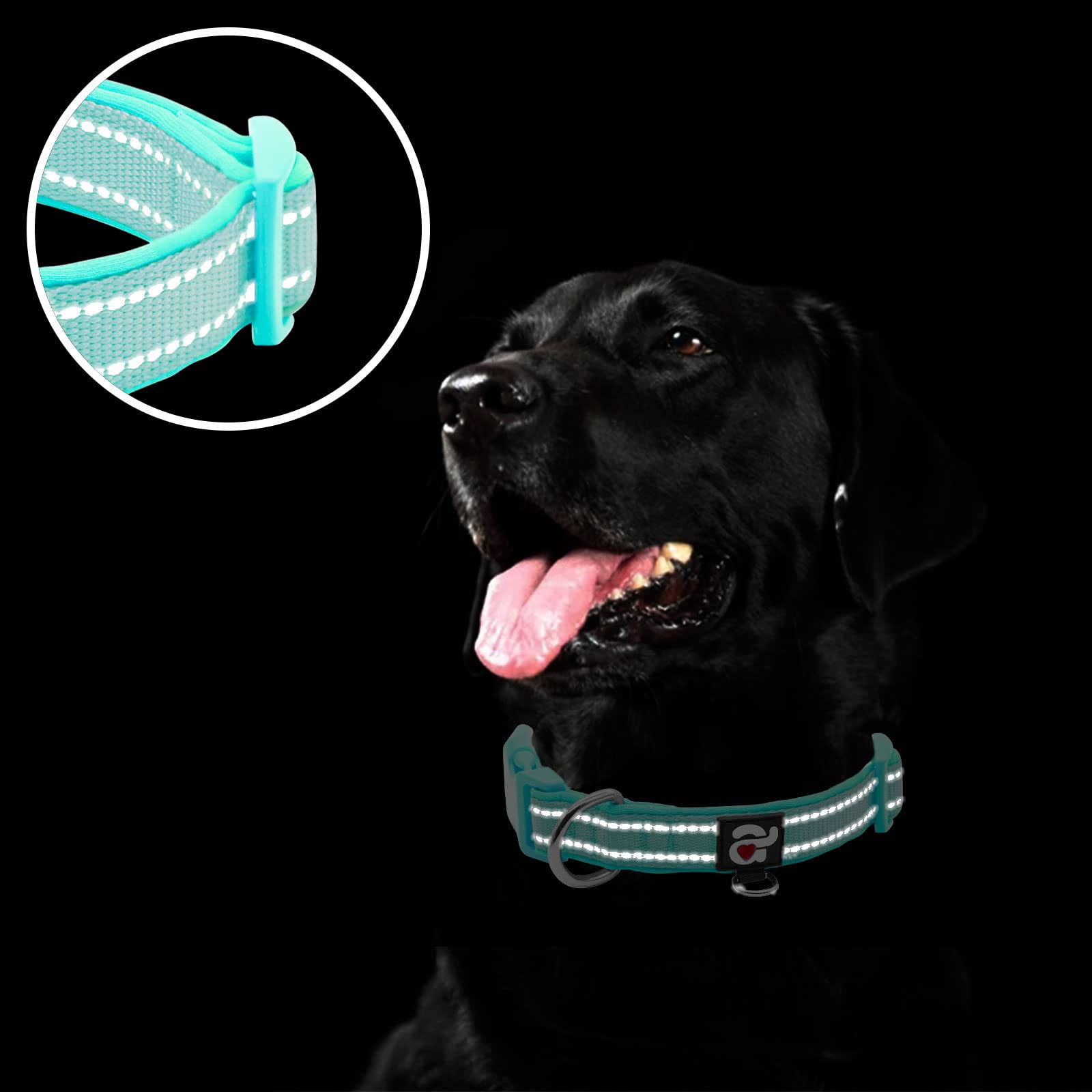 azuza Azuza Reflective Dog Collar Soft Neoprene Padded Adjustable Pet Collar for Small Dogs and Puppies Teal XS - View 4 of 6