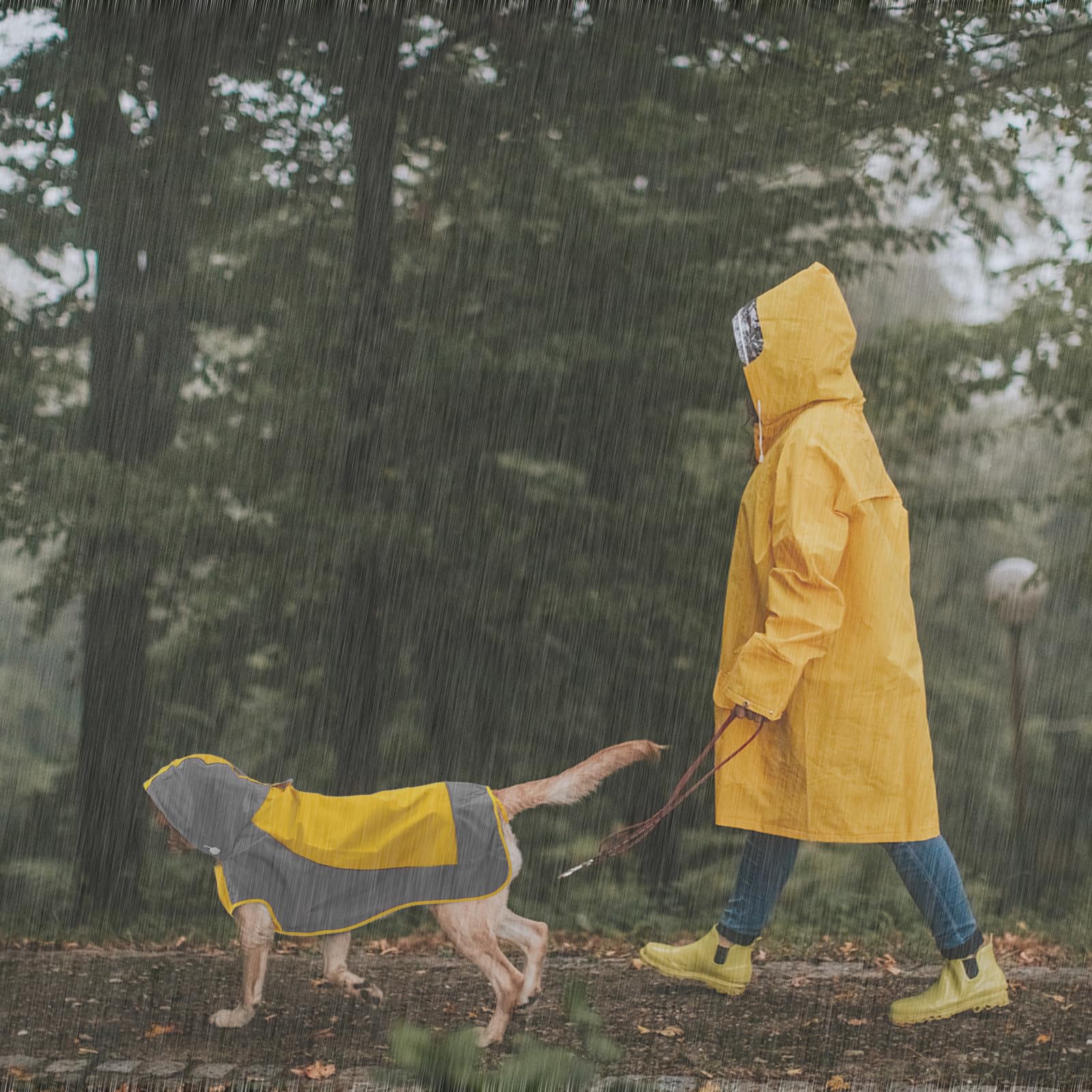 IECOii IECOii Large Dog Raincoat Waterproof Hooded Jacket Reflective Poncho with Leash Hole Adjustable Easy On Off Yellow Large - View 4 of 7