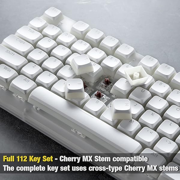GUNMJO Gunmjo Golf Pudding PBT Doubleshot Keycaps for Gaming Keyboard Cherry MX Switches Spherical PBT OEM Profile 111 Keys White Color - View 4 of 8