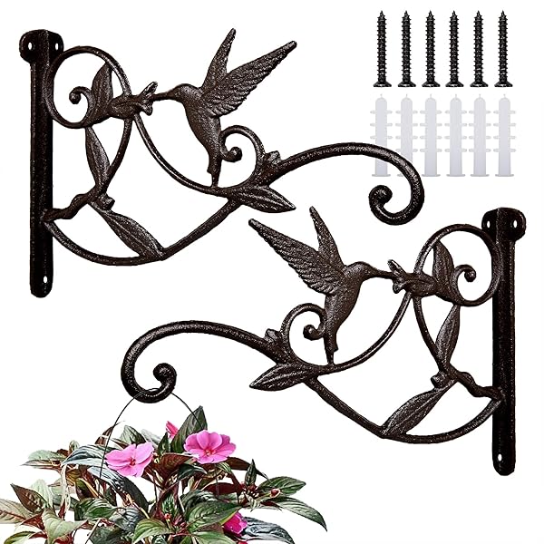 FLORWOD FLORWOD 2pcs Heavy Duty Plant Hangers for Outdoor Wall 10 Inch Rustic Iron Lantern Hooks Hummingbird Style