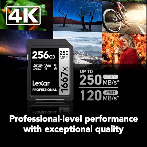 Lexar Lexar 256GB Professional 1667x SDXC Memory Cards (2-Pack) - UHS-II, 4K Video, 250MB/s Read Speed for Photographers & Videographers - View 4 of 9