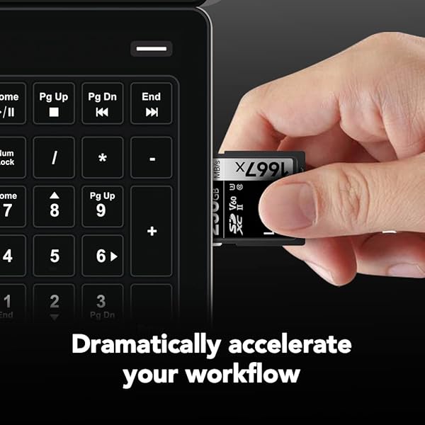 Lexar Lexar 256GB Professional 1667x SDXC Memory Cards (2-Pack) - UHS-II, 4K Video, 250MB/s Read Speed for Photographers & Videographers - View 6 of 9