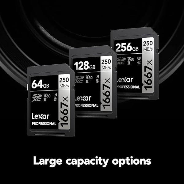 Lexar Lexar 256GB Professional 1667x SDXC Memory Cards (2-Pack) - UHS-II, 4K Video, 250MB/s Read Speed for Photographers & Videographers - View 9 of 9
