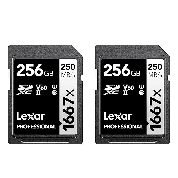 Lexar Lexar 256GB Professional 1667x SDXC Memory Cards (2-Pack) - UHS-II, 4K Video, 250MB/s Read Speed for Photographers & Videographers - View 3 of 9