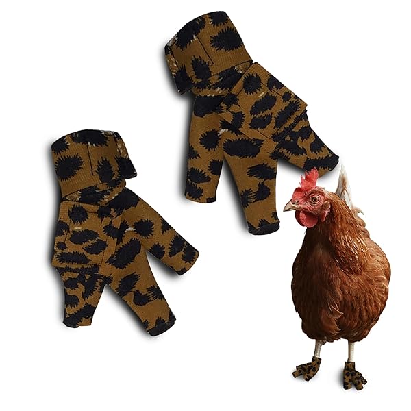 Birdy Bootie Birdy Bootie Chicken Shoes for Injured Feet Protective Neoprene Footwear Open Toe Design for Bumblefoot Relief Made in USA Standard Size Leopard