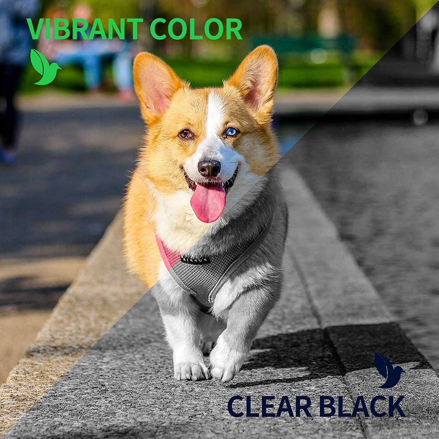 KODAK KODAK Photo Paper Gloss 4x6 100 Count High Quality for Stunning Prints Not Compatible with Kodak Dock Printer - View 7 of 8