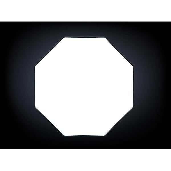 Profoto Profoto Clic Softbox Octa 2' Review: Enhance Your Photography Lighting Today! - View 9 of 10